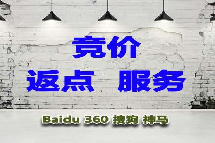 行业经典案例：SEM推广代运营如何助力销售增长